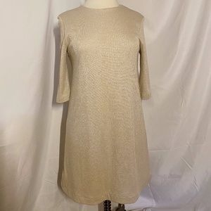 Champagne Sparkle Dress